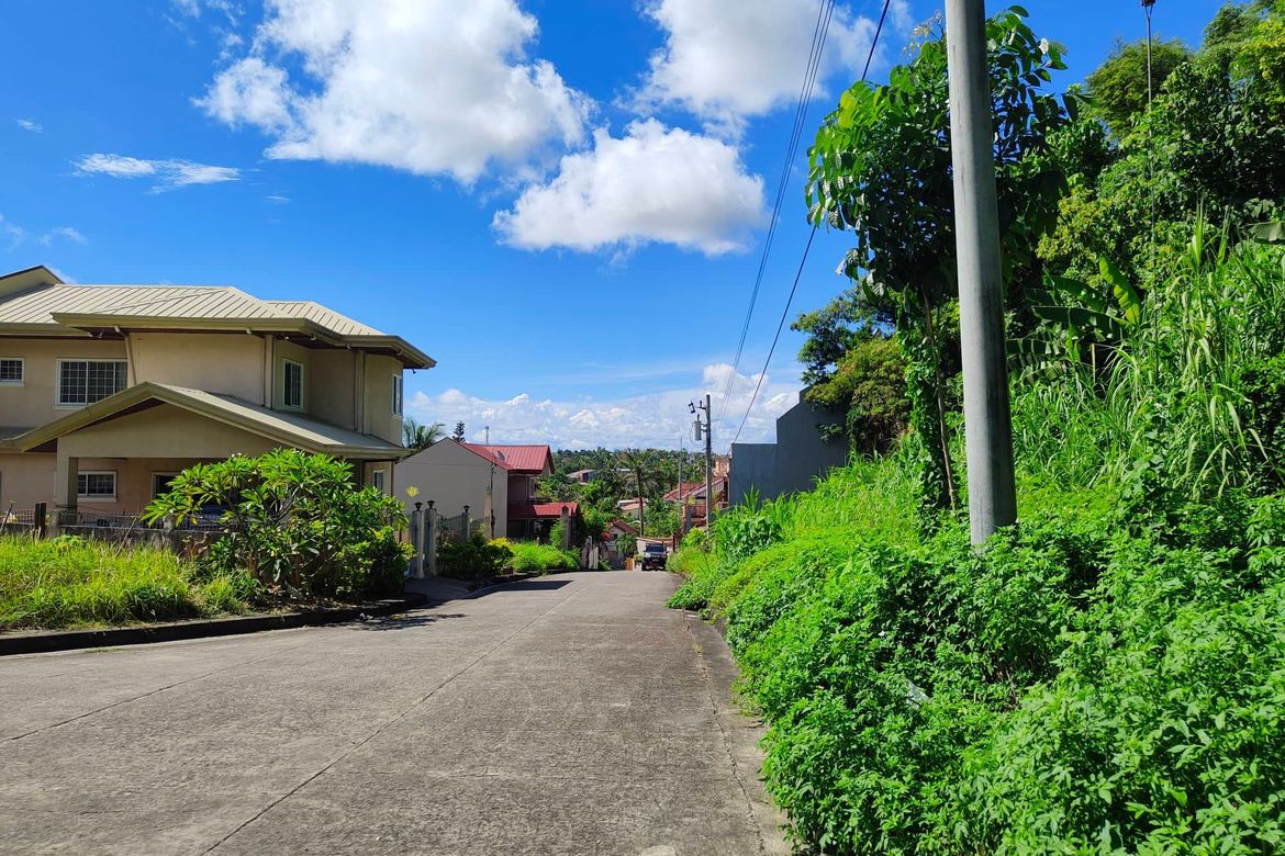 Land for Sale in Lamac, Consolacion, Cebu – photo 3