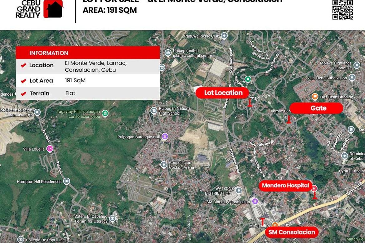 Land for Sale in Lamac, Consolacion, Cebu – photo 2