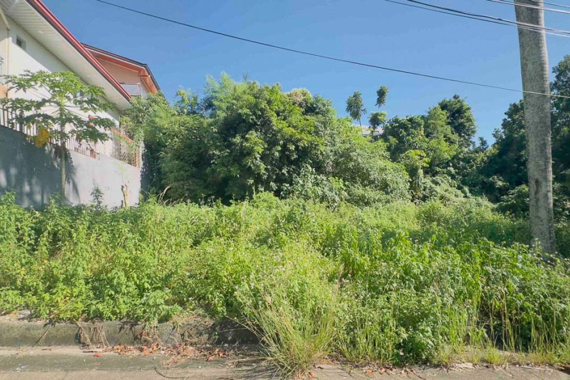 Land for Sale in Lamac, Consolacion, Cebu – photo 4