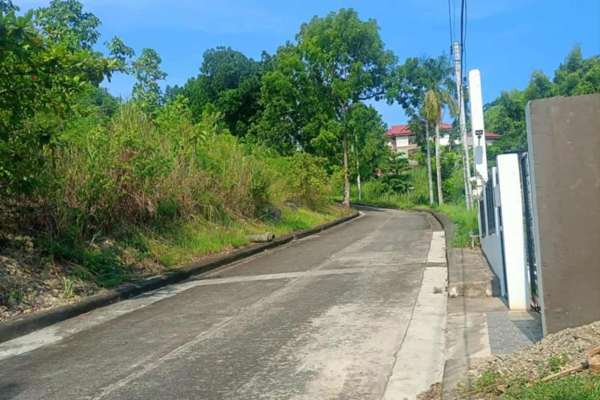 Land for Sale in Lamac, Consolacion, Cebu – photo 2