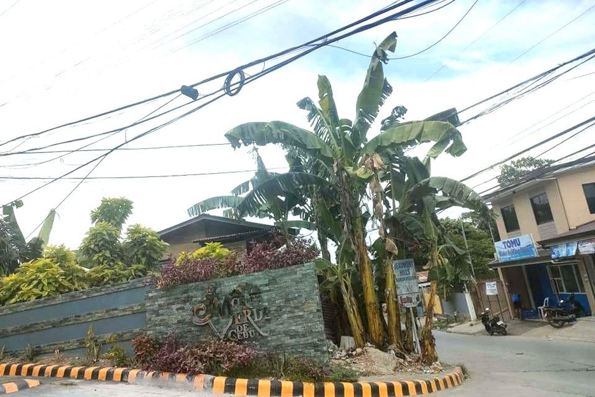 Land for Sale in Lamac, Consolacion, Cebu