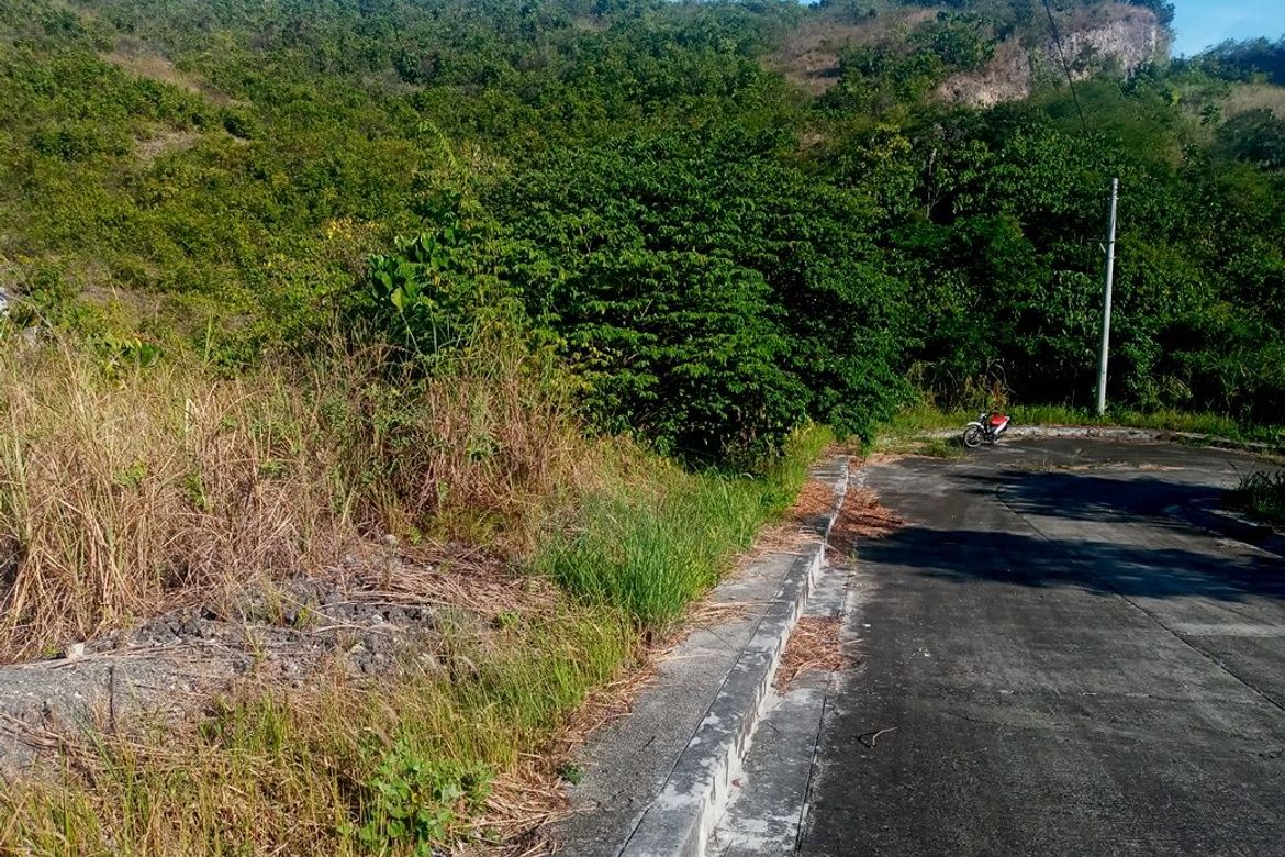 Land for Sale in Lamac, Consolacion, Cebu – photo 3