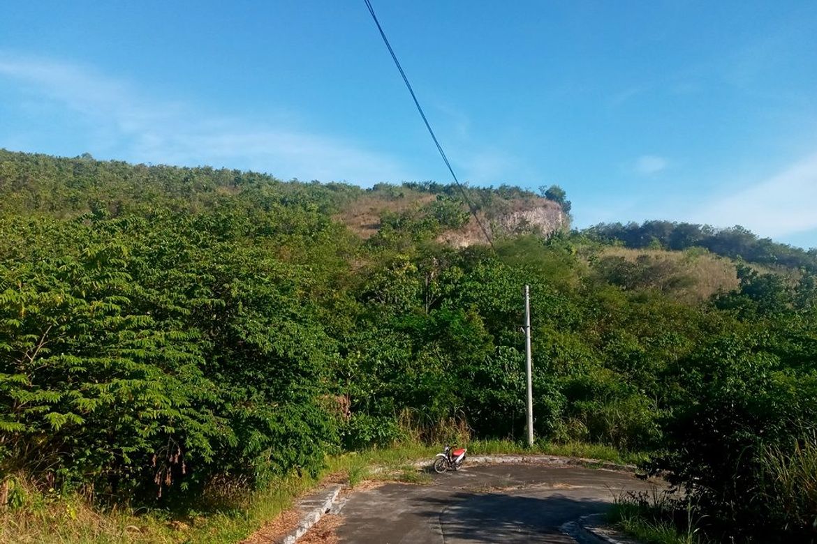 Land for Sale in Lamac, Consolacion, Cebu – photo 4