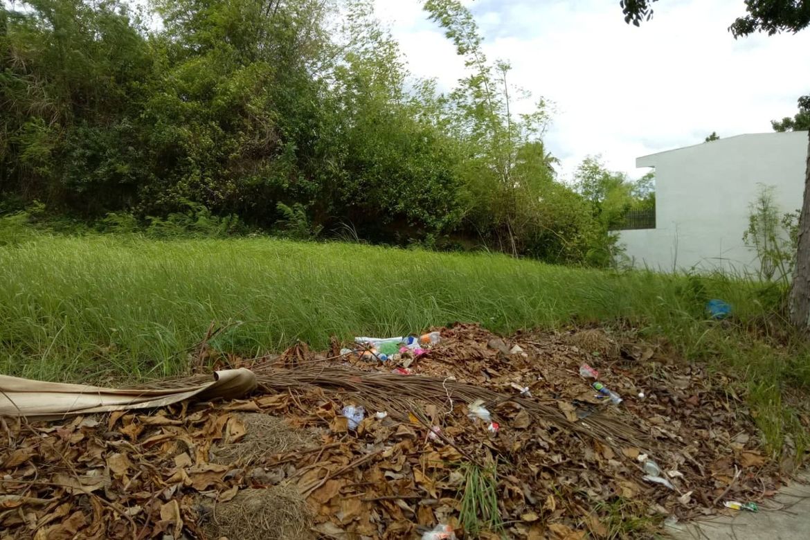 Land for Sale in Lamac, Consolacion, Cebu – photo 5
