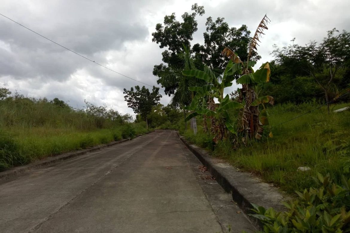 Land for Sale in Lamac, Consolacion, Cebu – photo 8