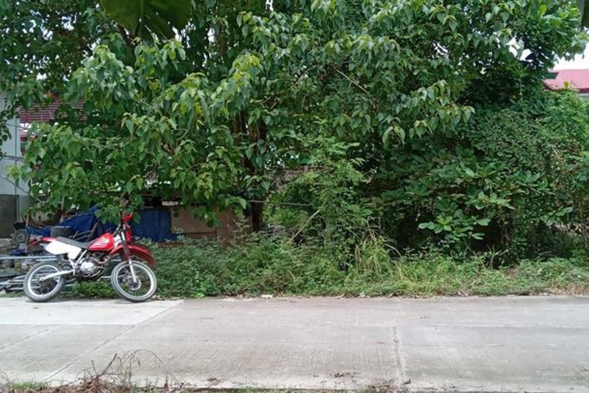 Land for Sale in Lamac, Consolacion, Cebu