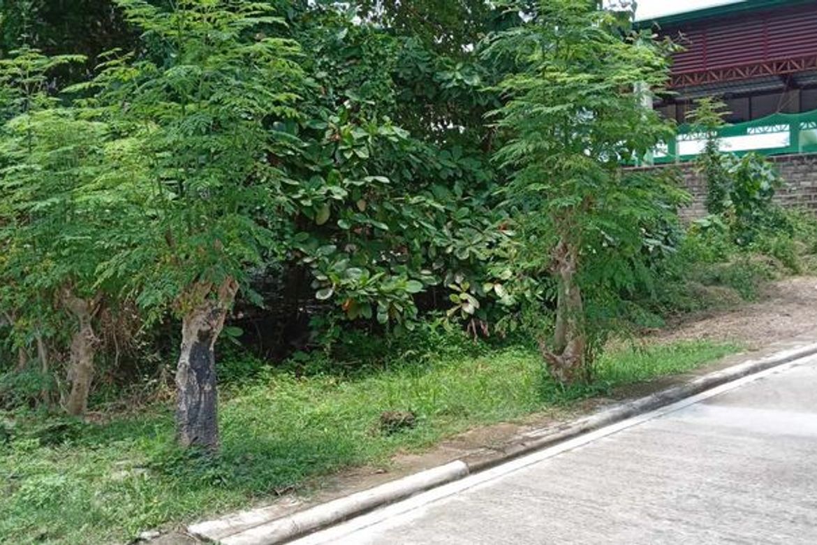 Land for Sale in Lamac, Consolacion, Cebu – photo 2