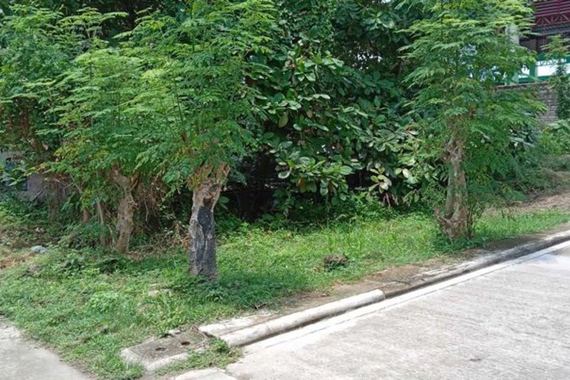 Land for Sale in Lamac, Consolacion, Cebu – photo 3