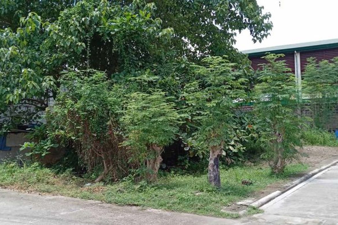 Land for Sale in Lamac, Consolacion, Cebu – photo 4