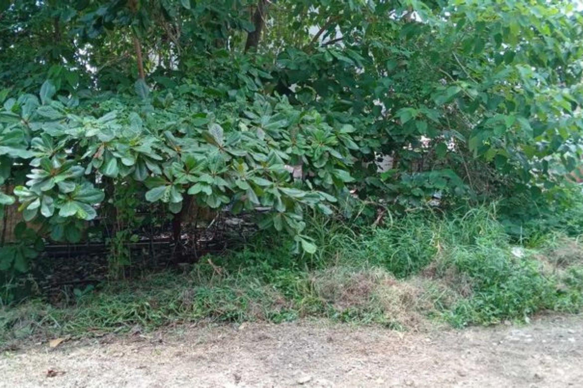 Land for Sale in Lamac, Consolacion, Cebu – photo 5