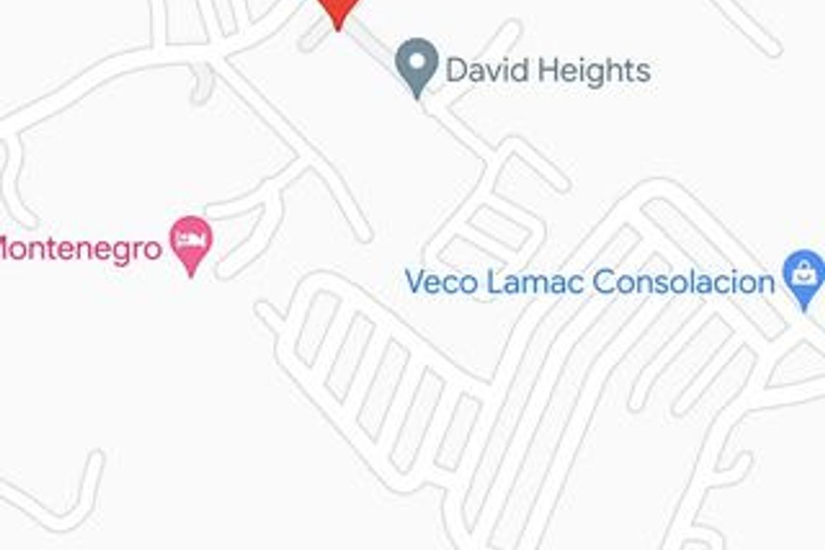 Land for Sale in Lamac, Consolacion, Cebu – photo 6