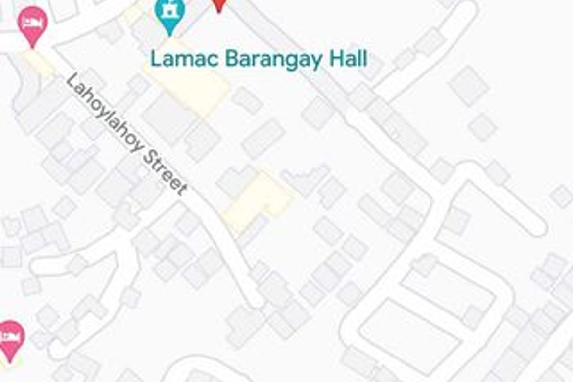Land for Sale in Lamac, Consolacion, Cebu – photo 7