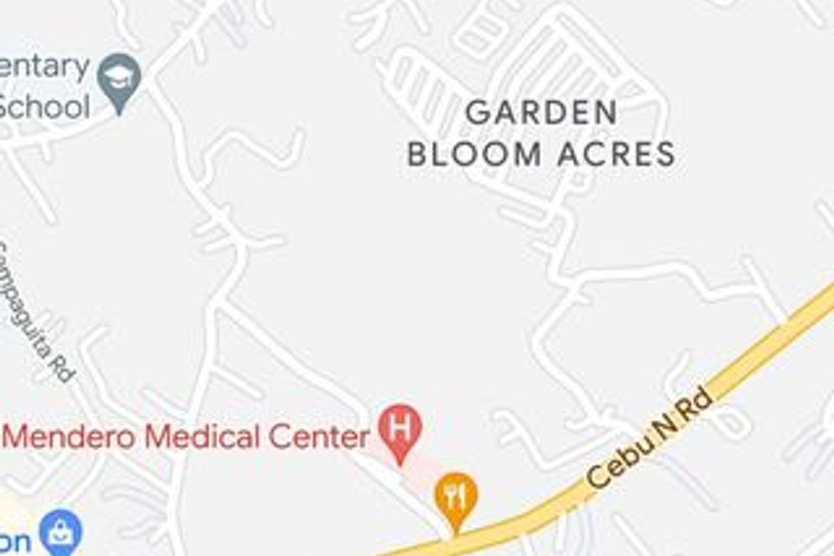 Land for Sale in Lamac, Consolacion, Cebu – photo 8