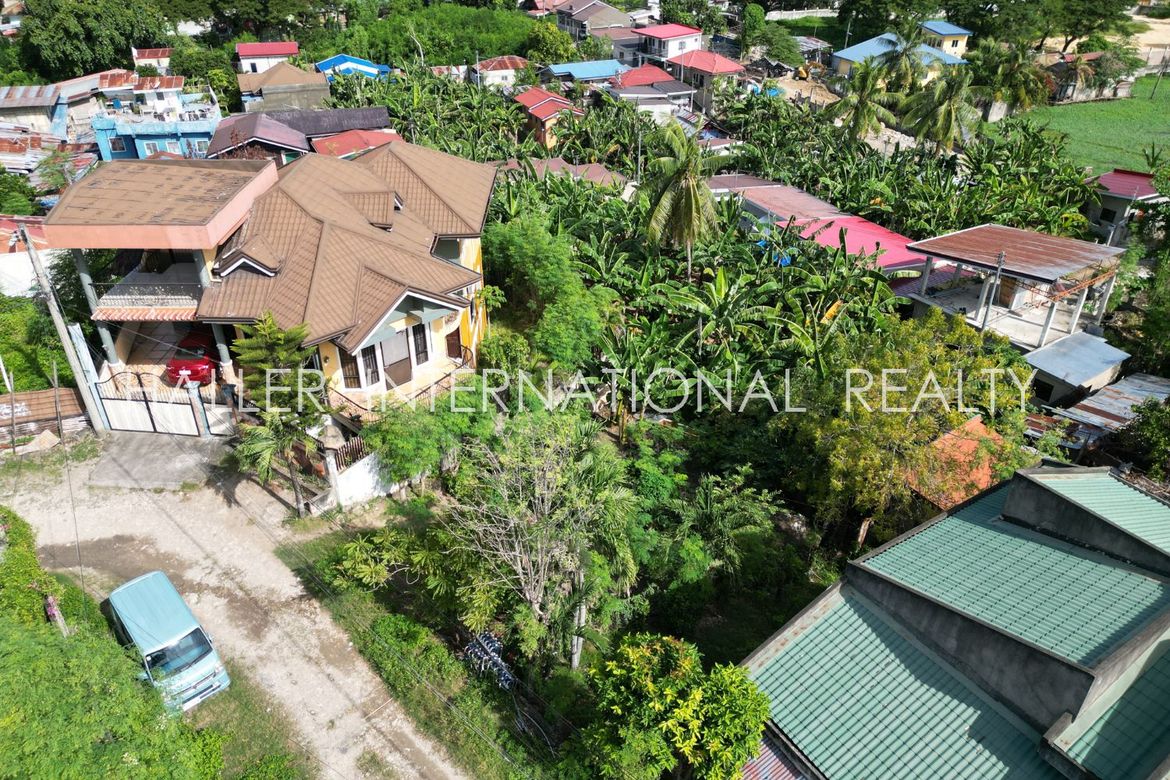 Land for Sale in Lamac, Consolacion, Cebu – photo 6