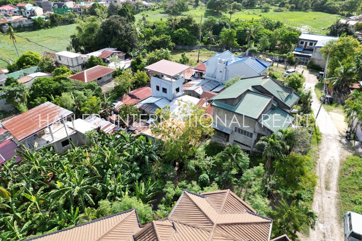 Land for Sale in Lamac, Consolacion, Cebu – photo 8