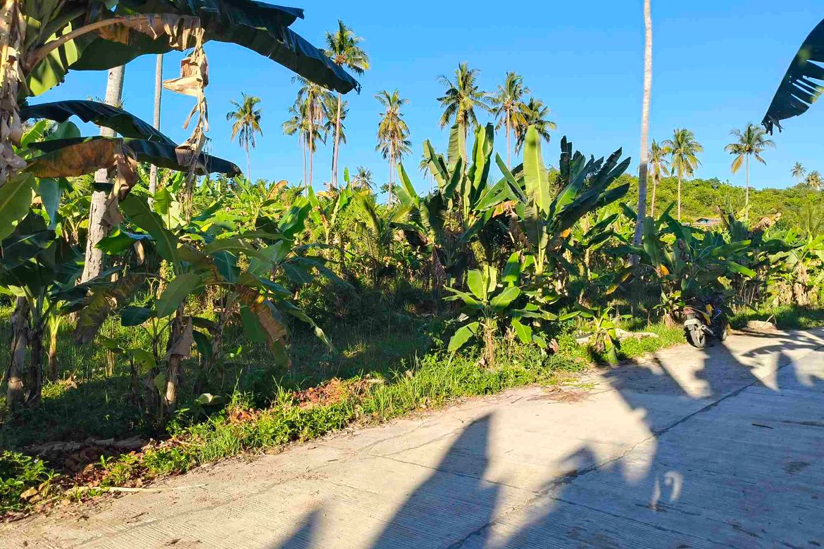 Land for Sale in Lamacan, Sibonga, Cebu – photo 7
