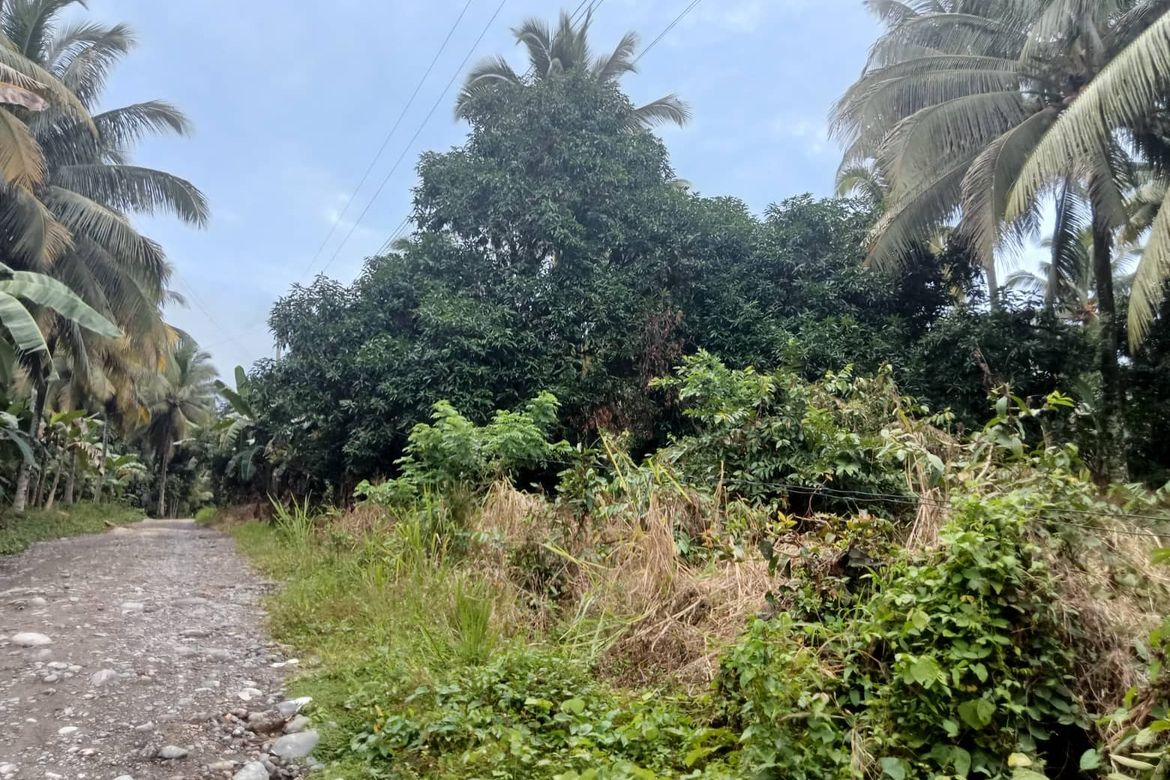 Land for Sale in Lamanan, Davao City, Davao del Sur