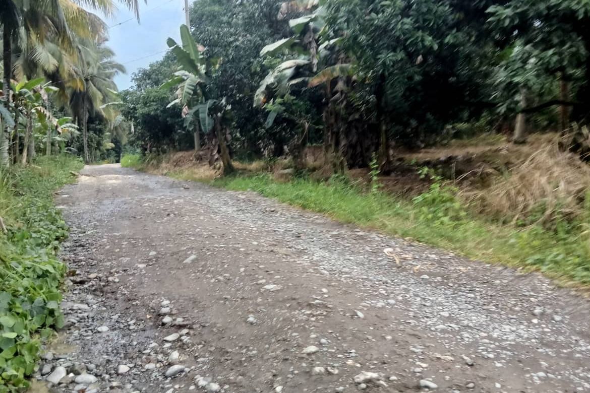 Land for Sale in Lamanan, Davao City, Davao del Sur – photo 2