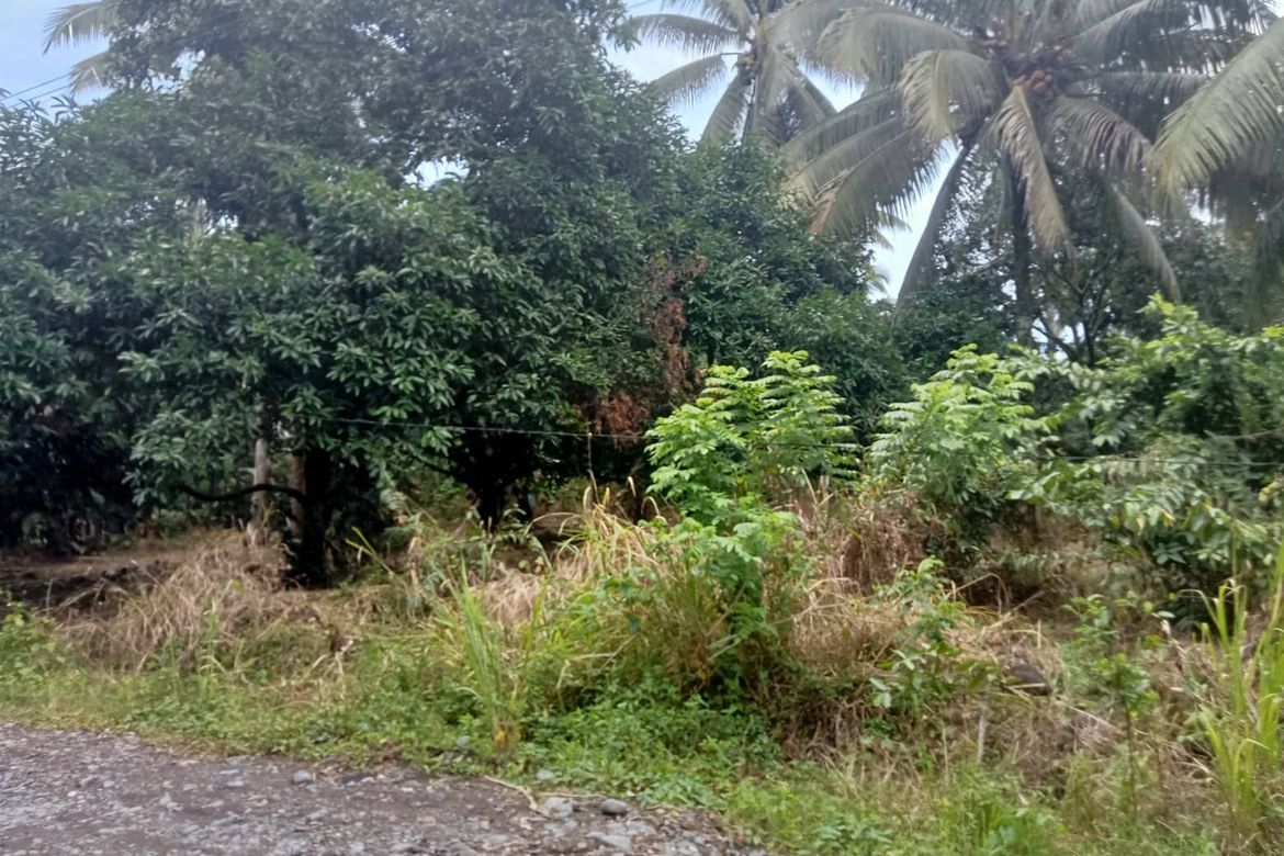 Land for Sale in Lamanan, Davao City, Davao del Sur – photo 8