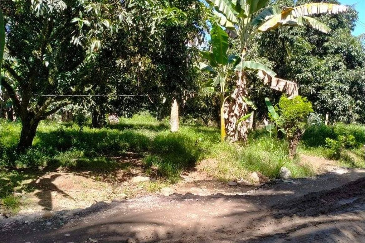 Land for Sale in Lamanan, Davao City, Davao del Sur