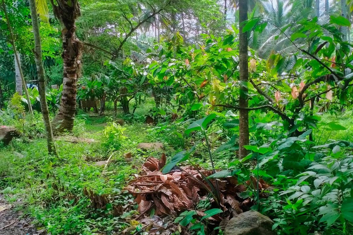 Land for Sale in Lamanan, Davao City, Davao del Sur – photo 4