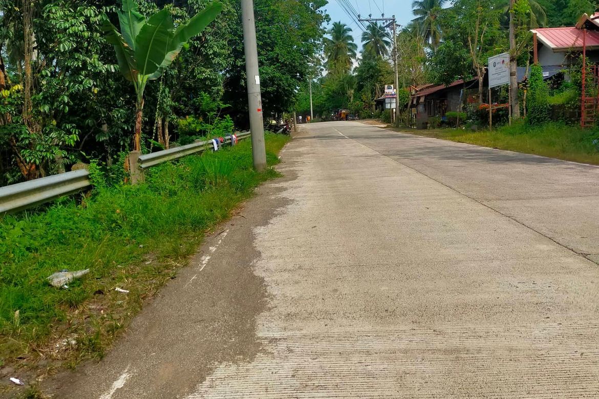 Land for Sale in Lamanan, Davao City, Davao del Sur – photo 5