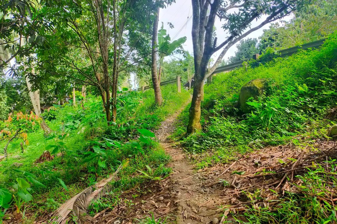 Land for Sale in Lamanan, Davao City, Davao del Sur – photo 8