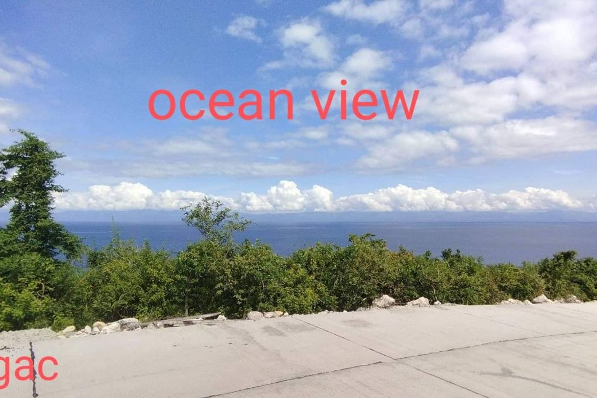 Land for Sale in Lambug, Badian, Cebu