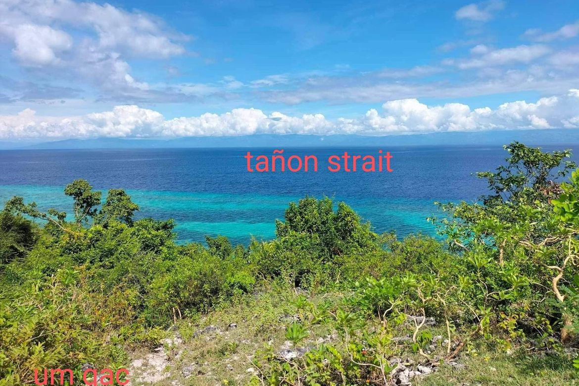 Land for Sale in Lambug, Badian, Cebu – photo 3