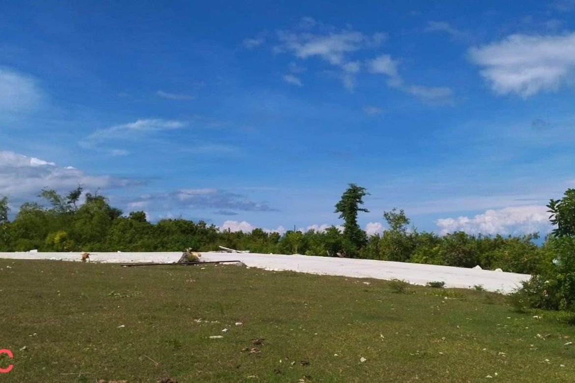Land for Sale in Lambug, Badian, Cebu – photo 4