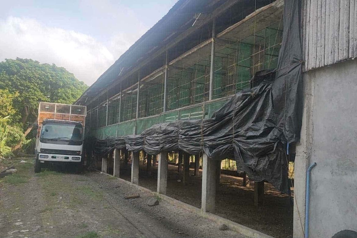 Land for Sale in Lambuyao, Oton, Iloilo – photo 4