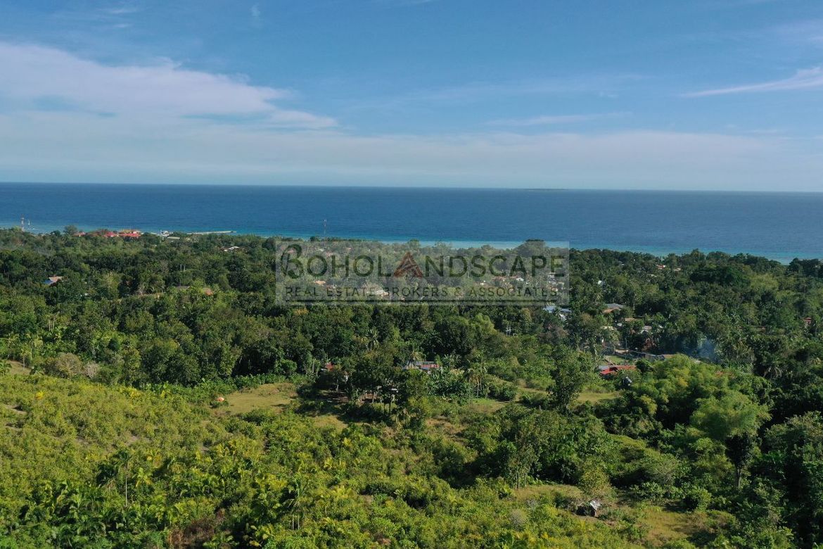 Land for Sale in Landican, Baclayon, Bohol – photo 3