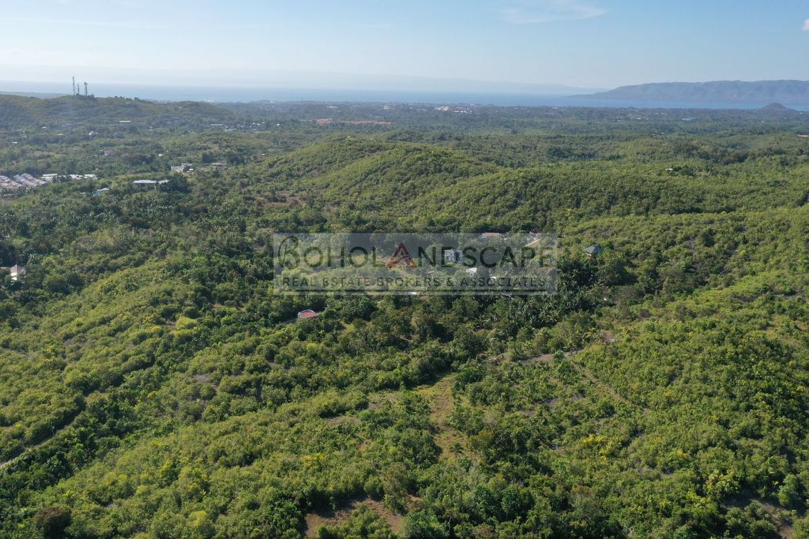 Land for Sale in Landican, Baclayon, Bohol – photo 5