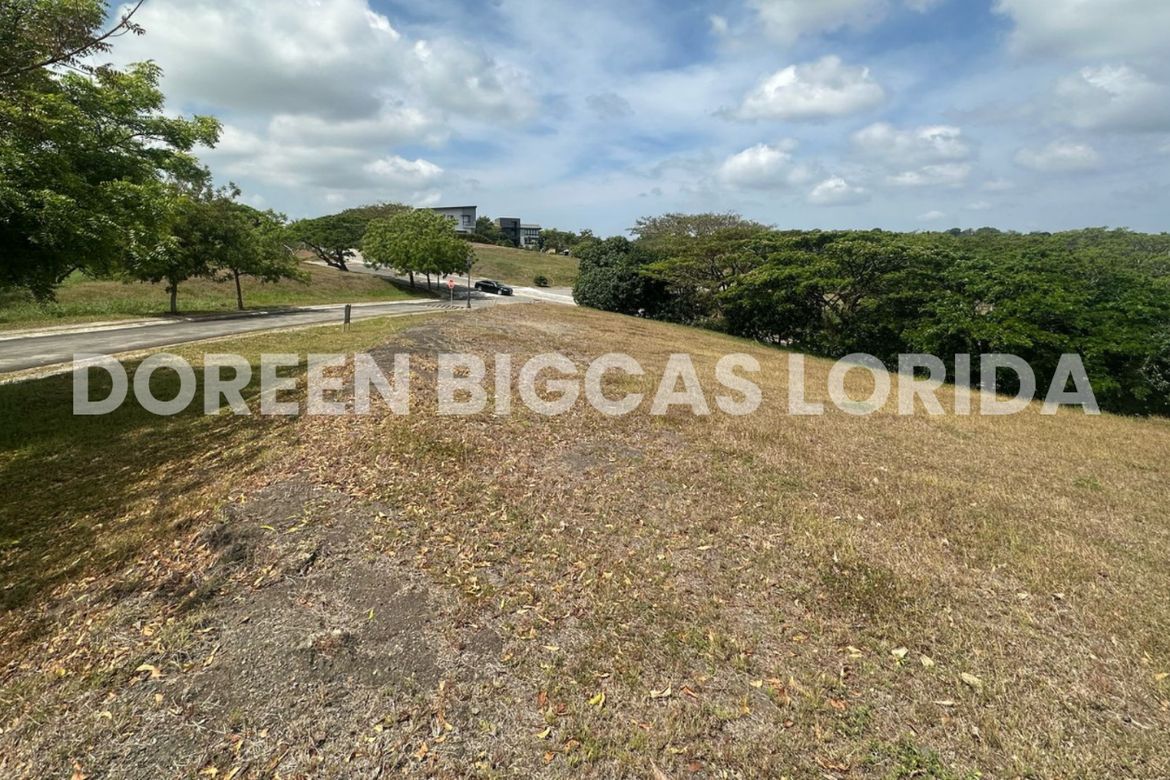 Land for Sale in Lanewood Hills at Southmont, Hukay, Silang, Cavite – photo 3