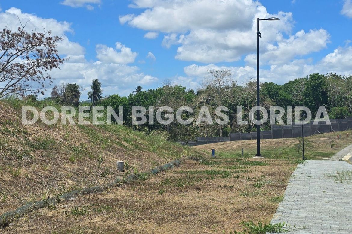 Land for Sale in Lanewood Hills at Southmont, Hukay, Silang, Cavite