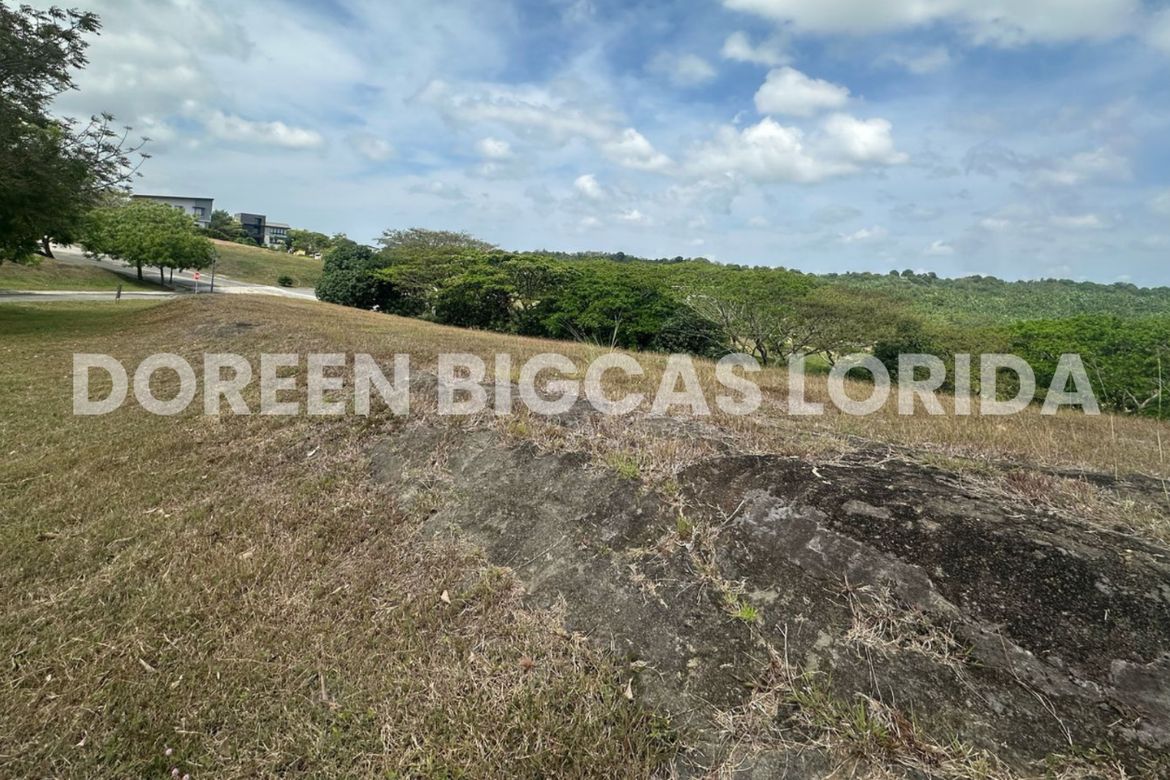 Land for Sale in Lanewood Hills at Southmont, Hukay, Silang, Cavite – photo 2