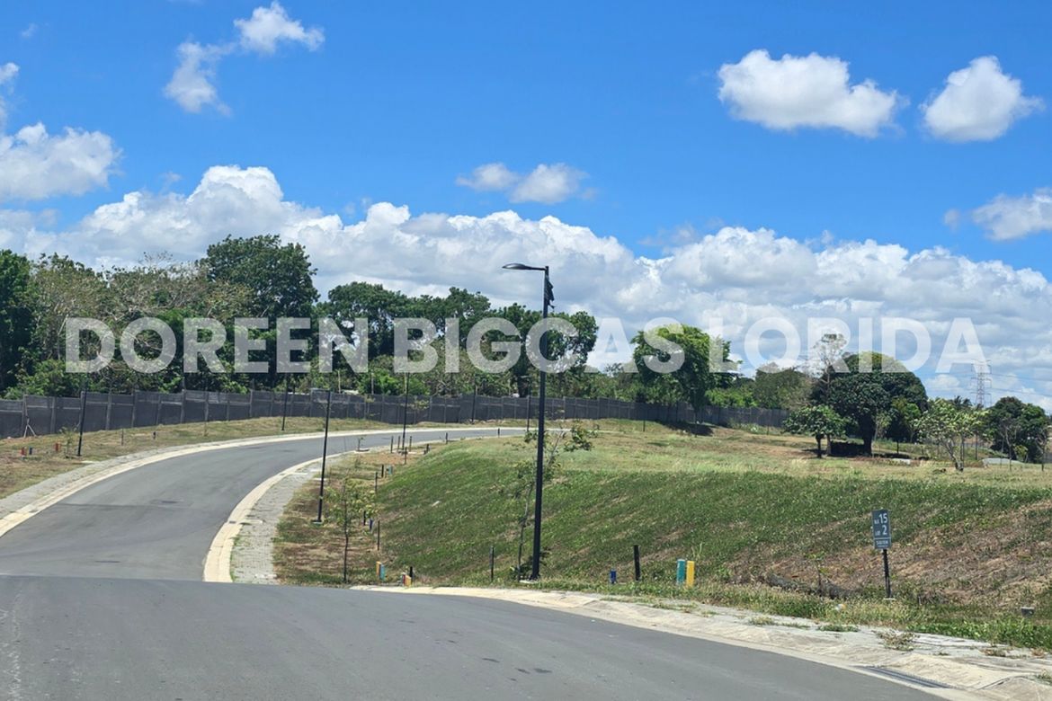 Land for Sale in Lanewood Hills at Southmont, Hukay, Silang, Cavite – photo 5