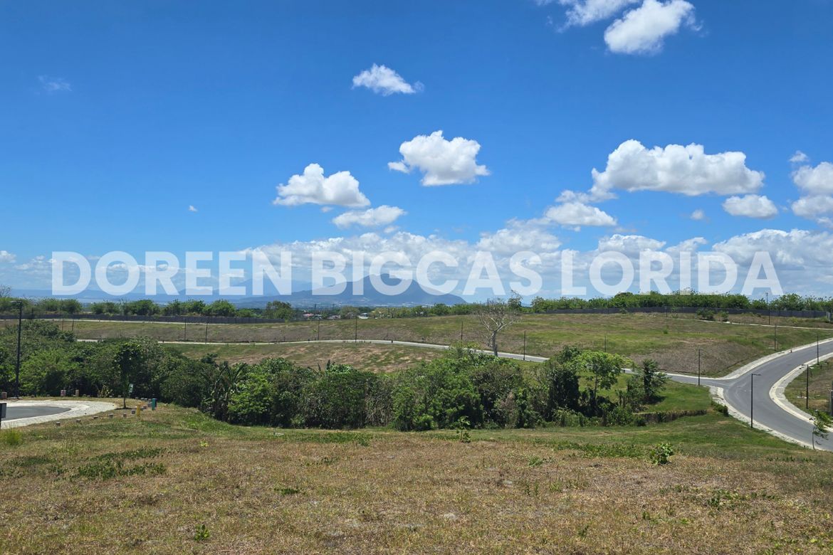 Land for Sale in Lanewood Hills at Southmont, Hukay, Silang, Cavite – photo 5