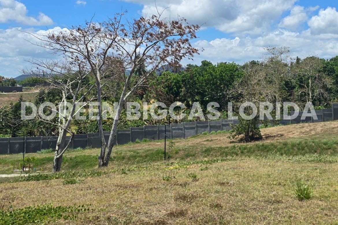 Land for Sale in Lanewood Hills at Southmont, Hukay, Silang, Cavite – photo 8