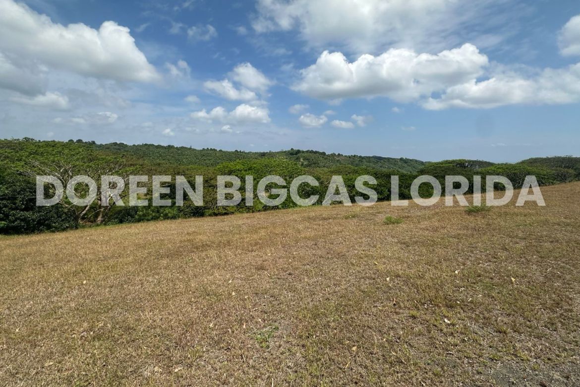 Land for Sale in Lanewood Hills at Southmont, Hukay, Silang, Cavite