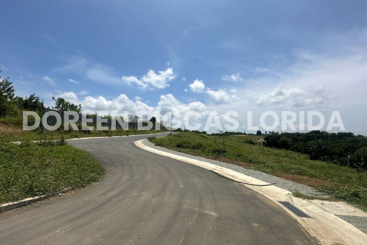 Land for Sale in Lanewood Hills at Southmont, Hukay, Silang, Cavite – photo 8