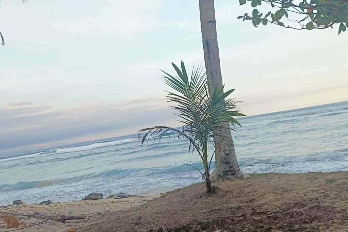 Land for Sale in Langka, Mati, Davao Oriental – photo 5