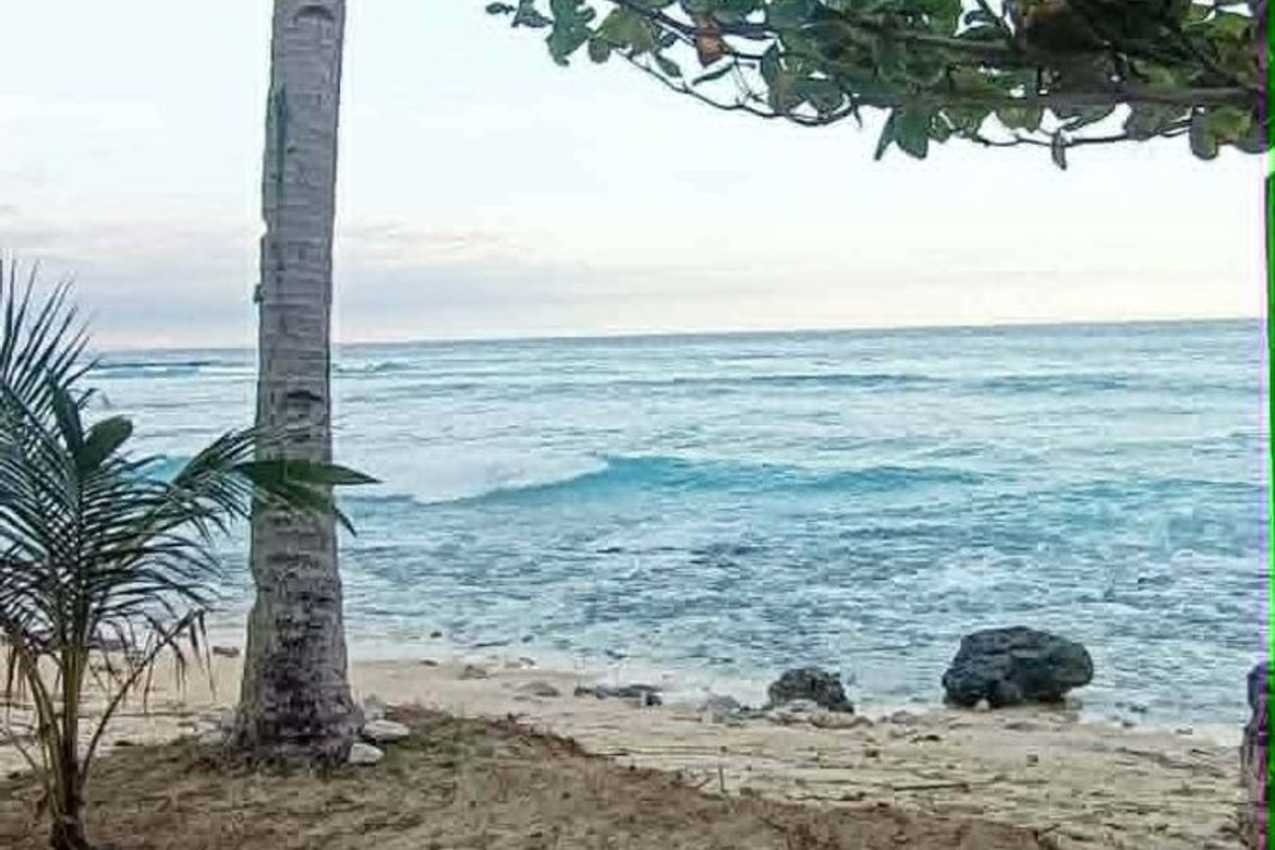 Land for Sale in Langka, Mati, Davao Oriental – photo 6