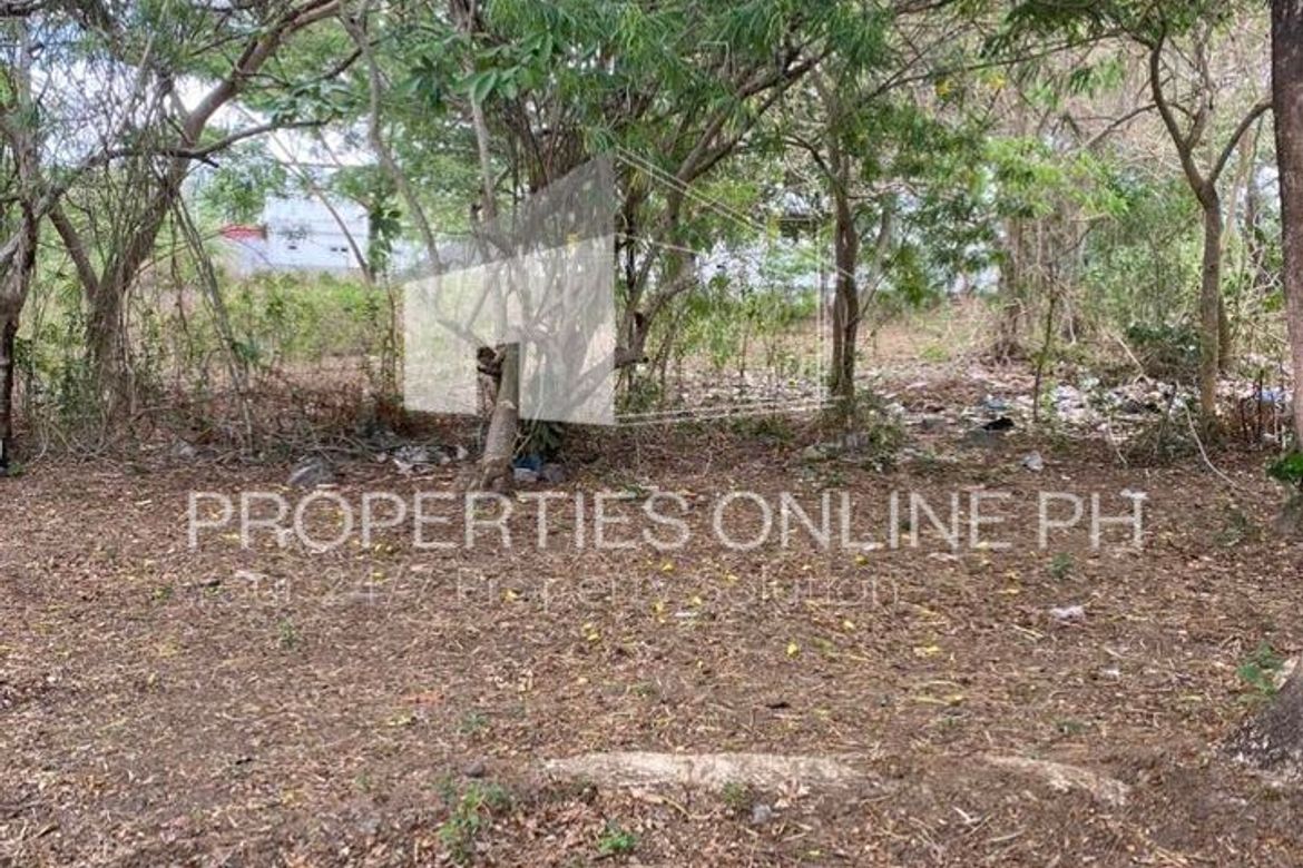 Land for Sale in Langkaan II, Dasmariñas, Cavite – photo 2