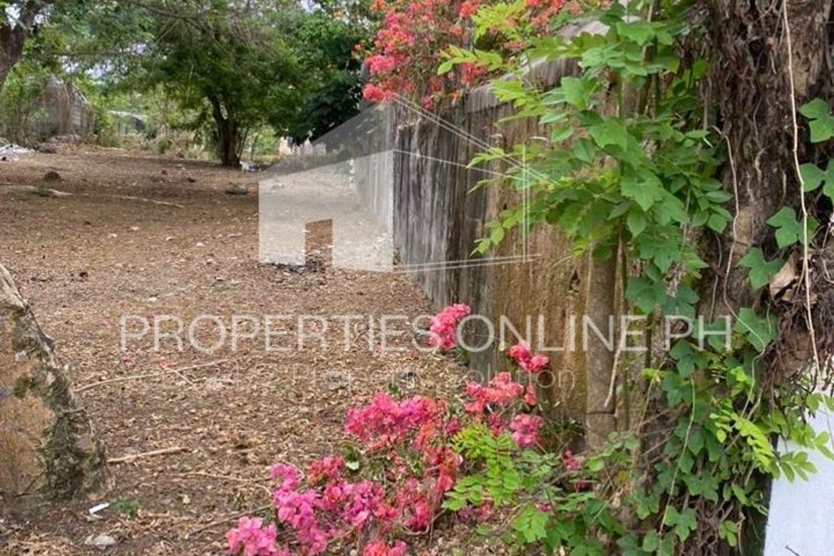 Land for Sale in Langkaan II, Dasmariñas, Cavite – photo 4