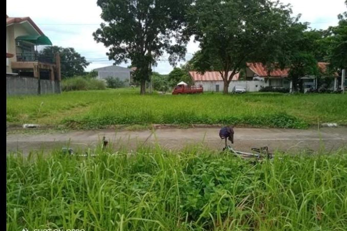 Land for Sale in Langkiwa, Biñan, Laguna