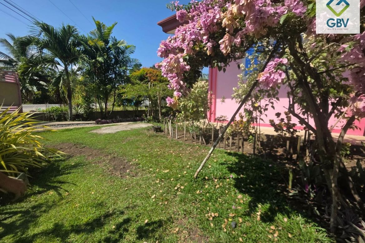 Land for Sale in Langub, Davao City, Davao del Sur – photo 3