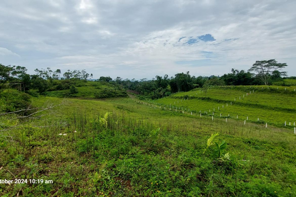 Land for Sale in Lanise, Claveria, Misamis Oriental – photo 2