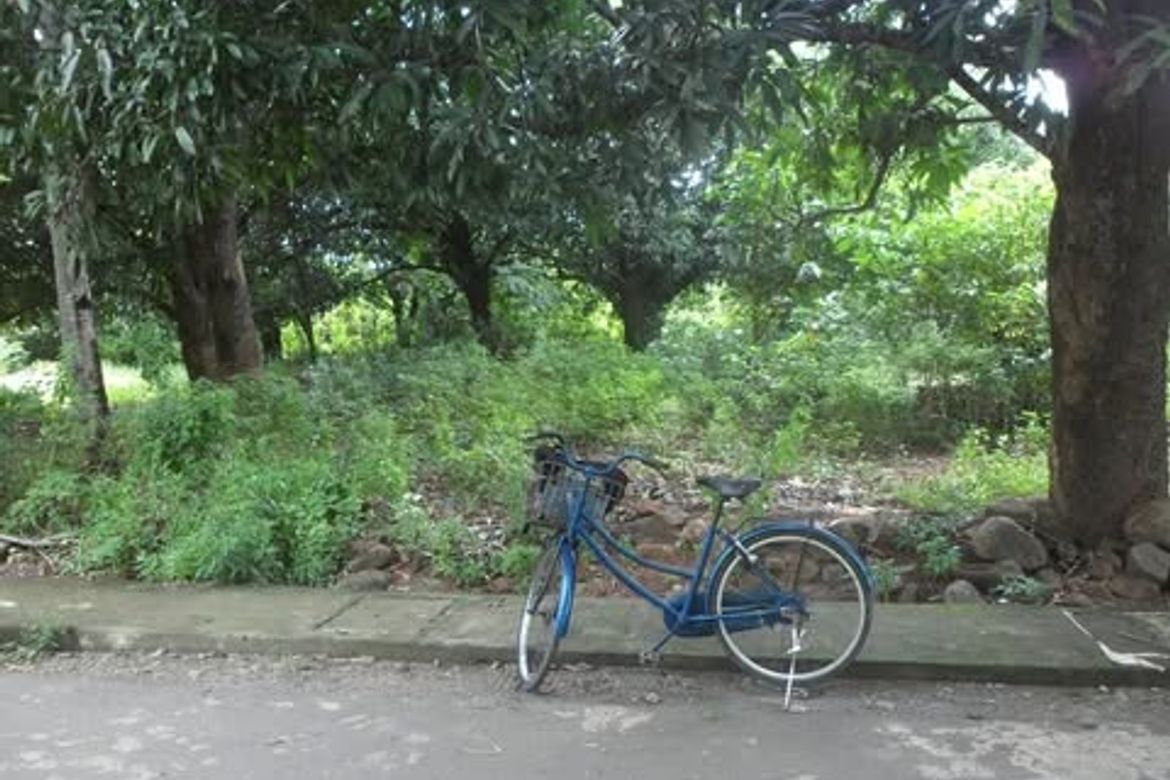 Land for Sale in Laoag, Aguilar, Pangasinan