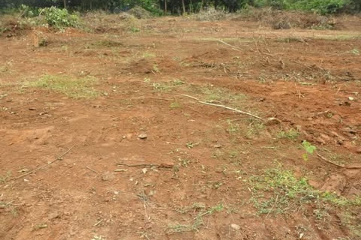 Land for Sale in Laoag, Aguilar, Pangasinan – photo 3